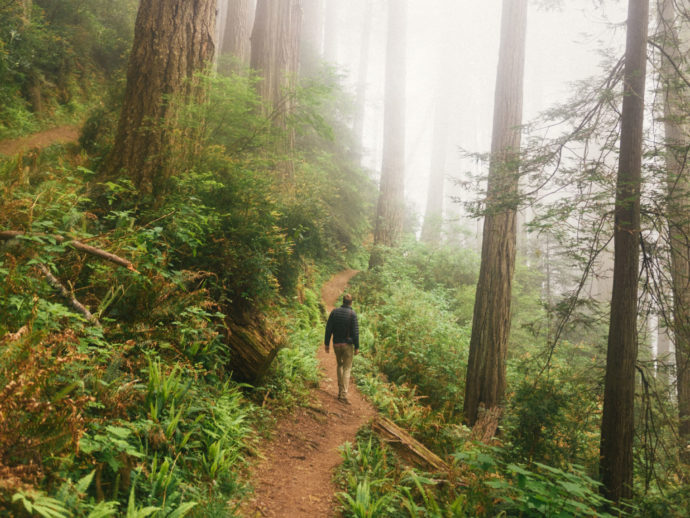 Trouver le calme dans la nature