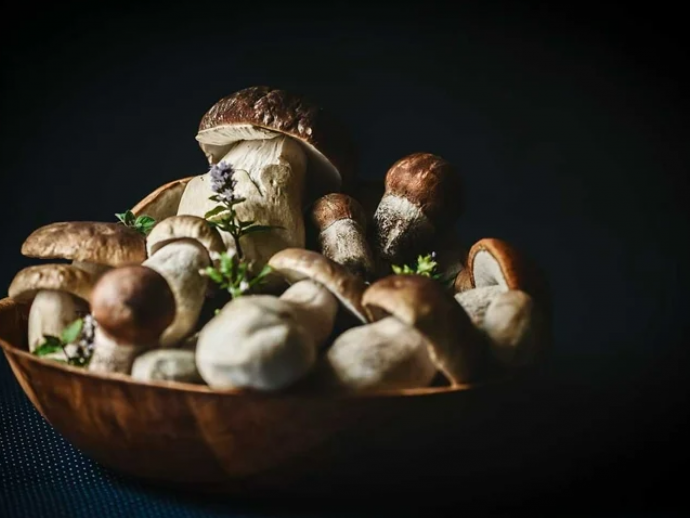 8 avantages étonnants des champignons pour la santés