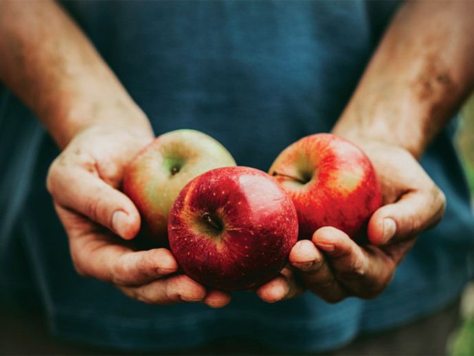 Le régime alimentaire végétalien au banc d’essai