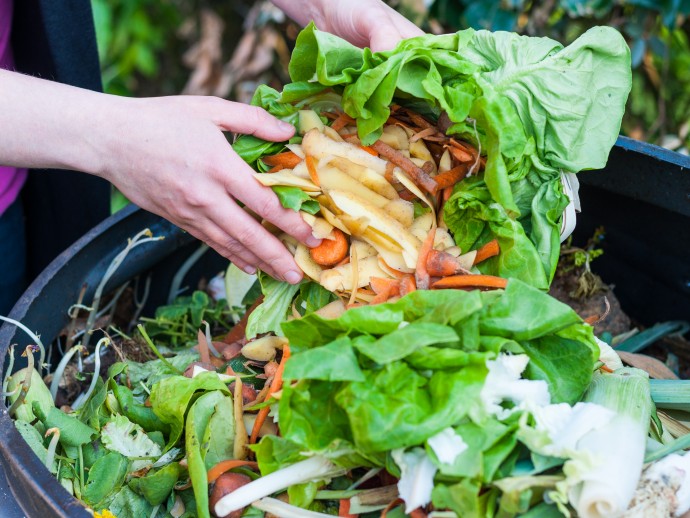 Learn How to Compost