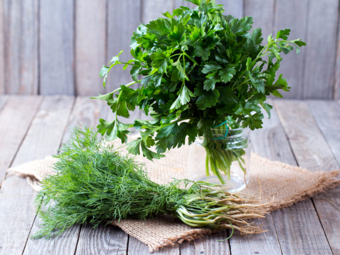 7 Summer Herbs You Have to Try