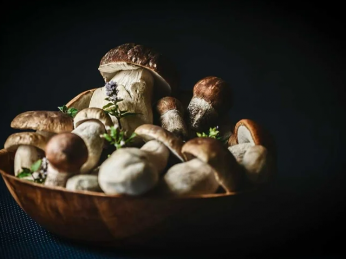 8 amazing health benefits of mushrooms